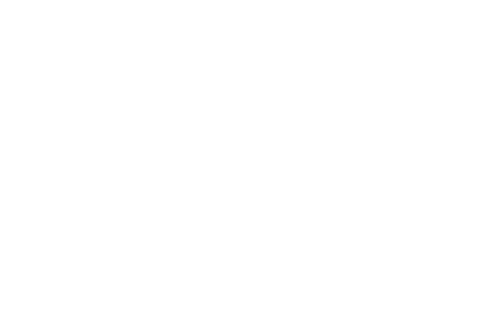 CSS.IO